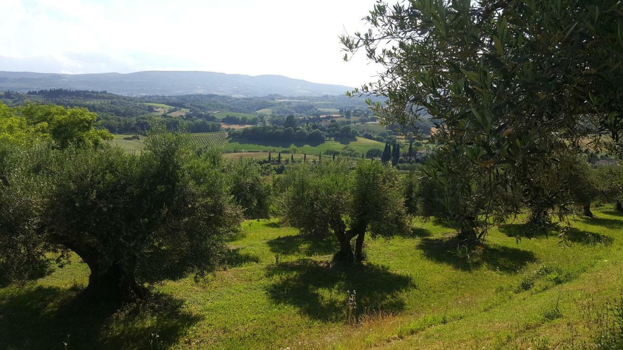 Villa Montevenere 83 Chiusi Exterior foto